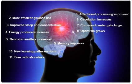 Blue_Brain_Picture.jpg Blue_Brain_Picture.jpg